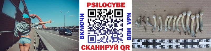 Купить где  Зеленогорск  Псилоцибиновые грибы MAGIC MUSHROOMS 